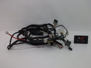 INSTALACION ELECTRICA PRINCIPAL KYMCO AGILITY CITY 125 EURO3